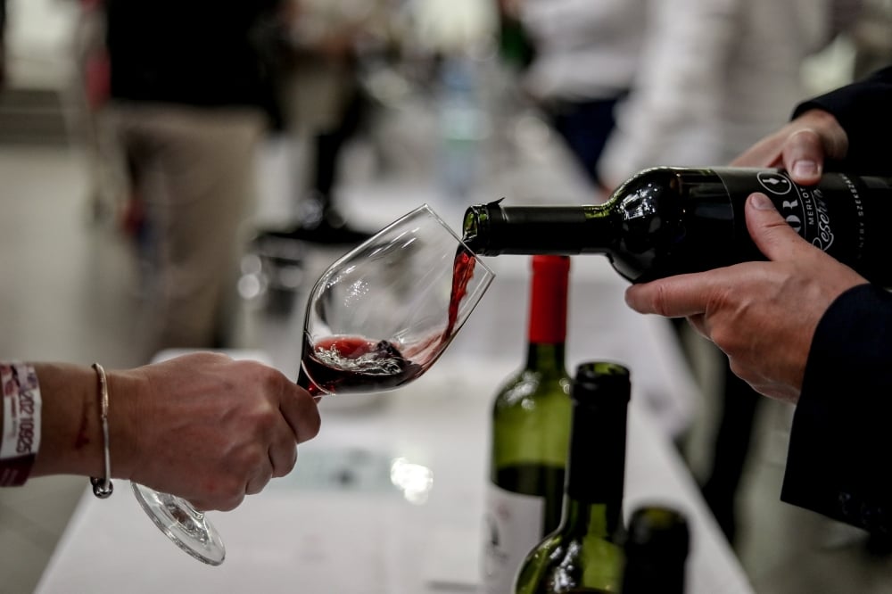 Lucsony Pince és Borpatika